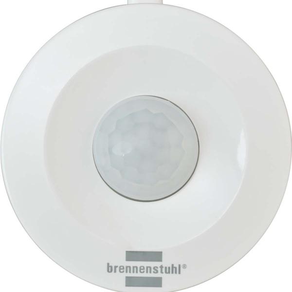 Connect_Zigbee_Motion_Sensor_BM_CZ_01_Alarm____Light_Functio