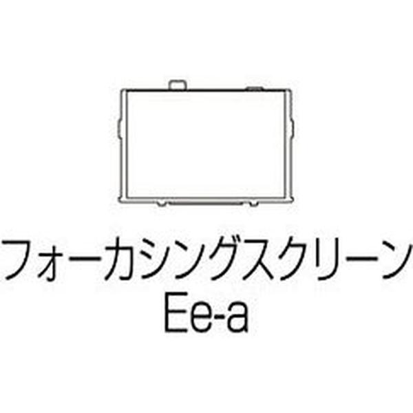 EE_A_Focusing_Screen