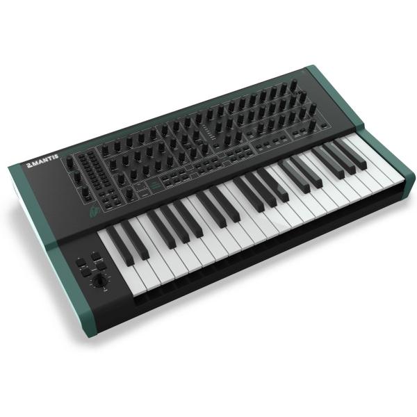 Mantis_1