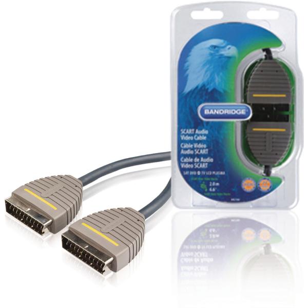 Scart_Cable_Scart_Male___Scart_Male_2_00_M_Blue