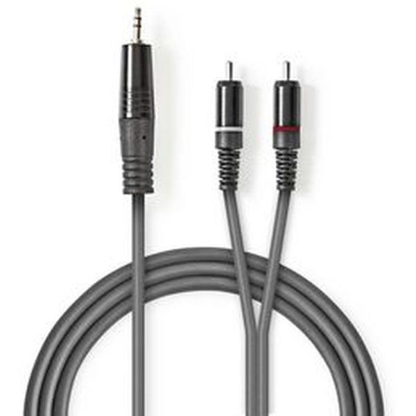 Stereo_Audio_Cable_3_5mm_M_2X_RCA_M_3_0m_Grey