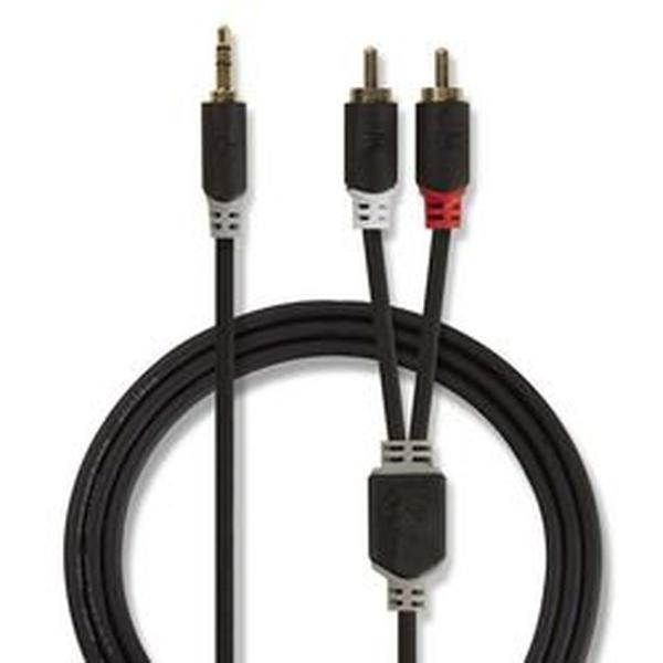 Stereo_Audio_Cable_3_5mm_M___2X_RCA_M_3_0m_GY