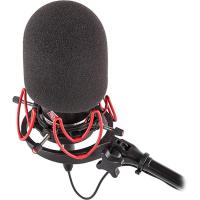 45_100_Large_Diaphragm_Mic_Foam_Single_1