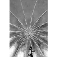 7__220cm_Silver_Diffusion_Parabolic_3