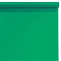 Background_Paper_46_Chroma_Green_0_57_X11_M_1