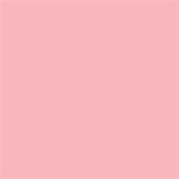 Background_Rol_Carnation_Pink__NR_17__1_35m_X_11m_1