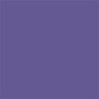 Background_Rol_Deep_Purple__NR_68__1_35m_X_11m_1