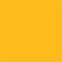 Background_Rol_Forsythia_Yellow__NR_14__1_35m_X_11m_1