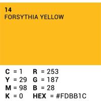 Background_Rol_Forsythia_Yellow__NR_14__1_35m_X_11m_4