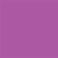 Background_Roll_Grape__NR_76__1_35m_X_11m_1