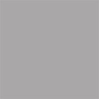 Background_Roll_Slate_Grey__NR_58__1_35m_X_11m_1