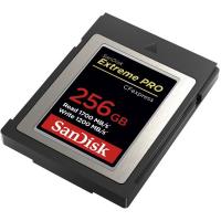 CFexpress_Extreme_Pro_256GB_1700_1200MB_s_Type_B_2