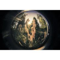 Circular_Fisheye_Lens_Micro_Four_Thirds_3