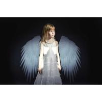 Creative_Kit___Wings_3