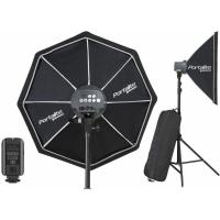 D_Lite_RX_4___Dual_Monolight_Kit_1