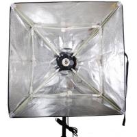 Day_Light_Lamp_w__Foldable_Softbox_LH_ESB5050_1