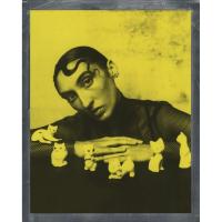 Duochrome_Film_For_8x10___Black___Yellow_Edition_3