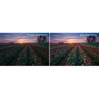 Filter_Lens__Gradual_Colour_Grey__For_DJI_Mavic_3