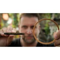 Firecrest_Bloom_Gold_1_2_77mm__Gold_Ring__2