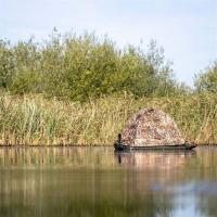 Floating_Hide_Grebe_2