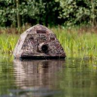 Floating_Hide_Grebe_4