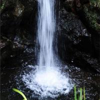 Grey_Filter_DHG_ND8_72_mm_3