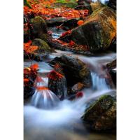 Greyfilter_ND_3_0___1000X_49_MM__3