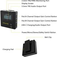 Iray_DW30_Wireless_Microphone_w__On_Board_Recording_1