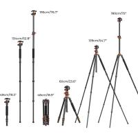 K_F_Trident_T_Tripod_w__Tiltable_Arm_Spikes_Tel_houder_1