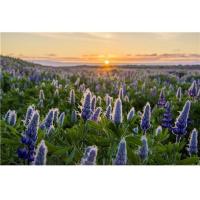 K_Series_MRC_Grad_ND8_Centre_0_9___3_Stops__100x150mm_2
