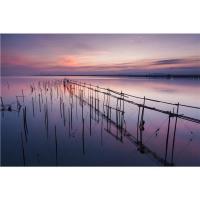 K_Series_ND8_CPol_Filter_3