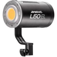 L60_B_Bi_Colour_COB_LED__60W__3