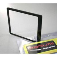 LCD_Protector_For_Sony_A100_1