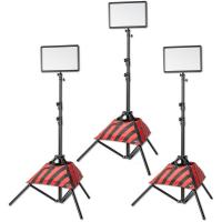 LEDP260C_Trio_Tripod_Kit_2