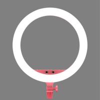 LR150_LED_Ring_Light_Pink_2