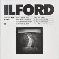 MGRCDL44M_10_5x14_8cm_100_1