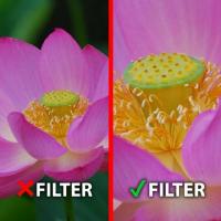 Macro__3_Filter_DHG_55_mm_3