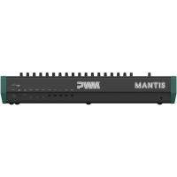 Mantis_3