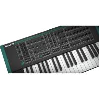 Mantis_5