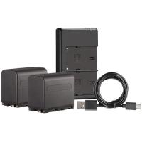 NP_F970_Dual_Battery_Pack_w__Charger__2_p_L_Series_7_4V_6600