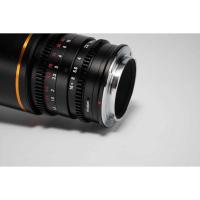 Nanomorph_65mm_T2_4_1_5X_S35__Amber__Nikon_Z__Lao_65_NZ_A_CI_4