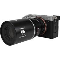 Nanomorph_65mm_T2_4_1_5X_S35__Silver__Fuji_X__Lao_65_FX_S_CI_4