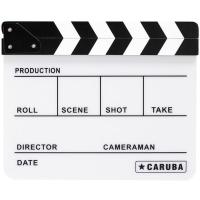 Professional_Director_4