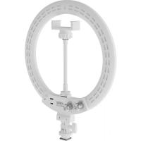 RL_10A_Arctic_White_LED_Ring_Light___Stand_2