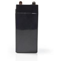 Rechargeable_Loodzuuraccu_6V_4000mAh_70_X_47_X_101mm_1