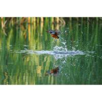 SZX_Super_Tele_400mm_f_8_0_Reflex_MF_EF_M_2