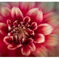 Sol_22_Micro_Four_Thirds_4