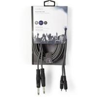 Stereo_Audio_Cable_2X_6_35mm_M_2X_RCA_M_5_0m_Grey_2