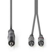 Stereo_Audio_Cable_3_5mm_M_2X_RCA_M_3_0m_Grey_1