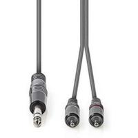 Stereo_Audio_Cable_6_35mm_M_2X_RCA_M_3_0m_Grey
